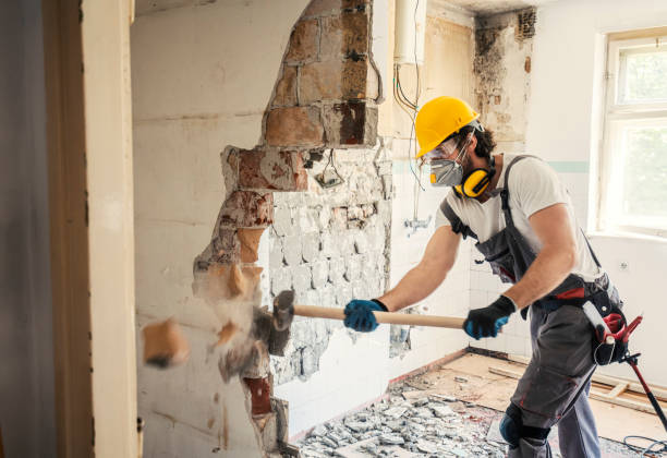Best Custom Concrete Contractor  in Doney Park, AZ
